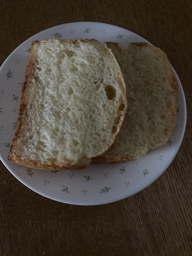 投稿写真