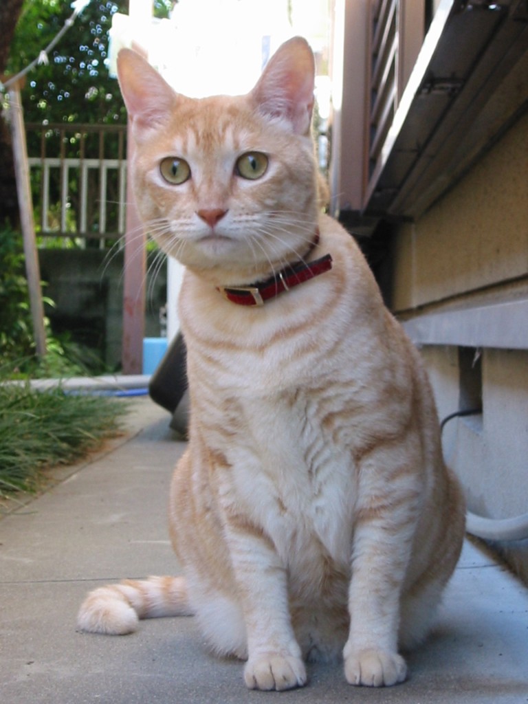 ユーザー写真