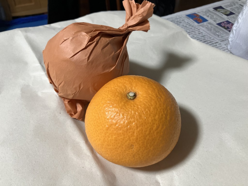 投稿写真