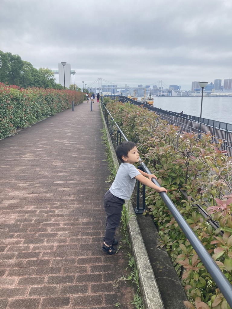 投稿写真