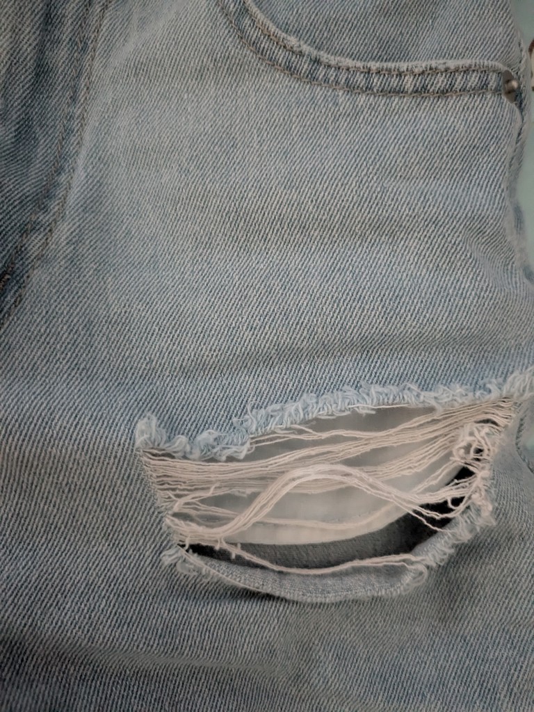 投稿写真
