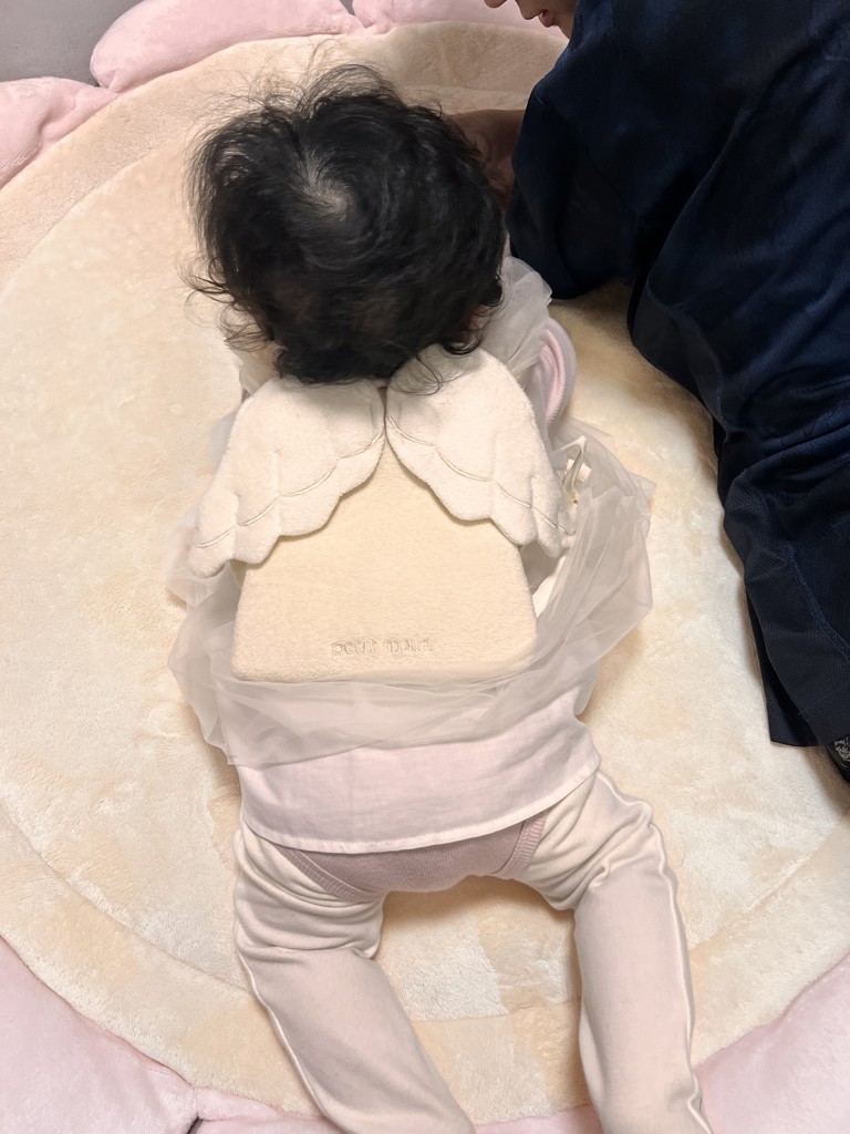 投稿写真