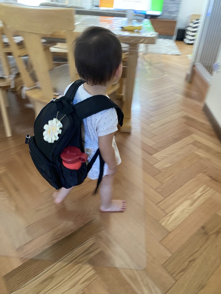 投稿写真