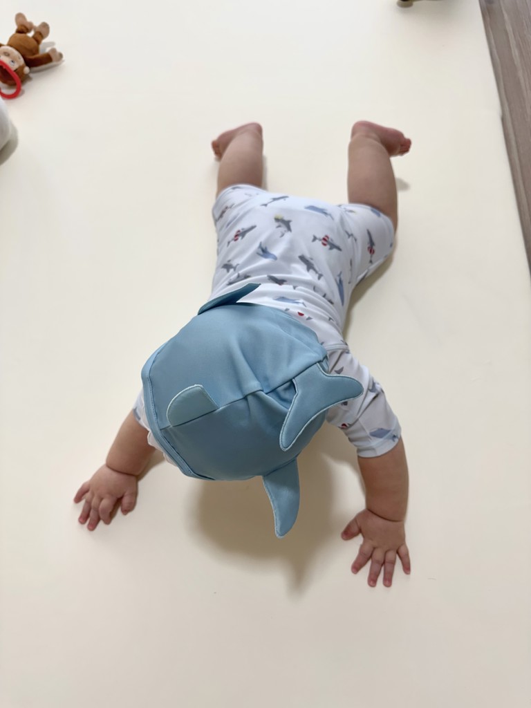 投稿写真