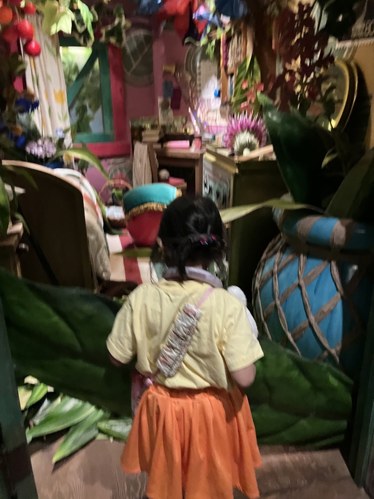 投稿写真