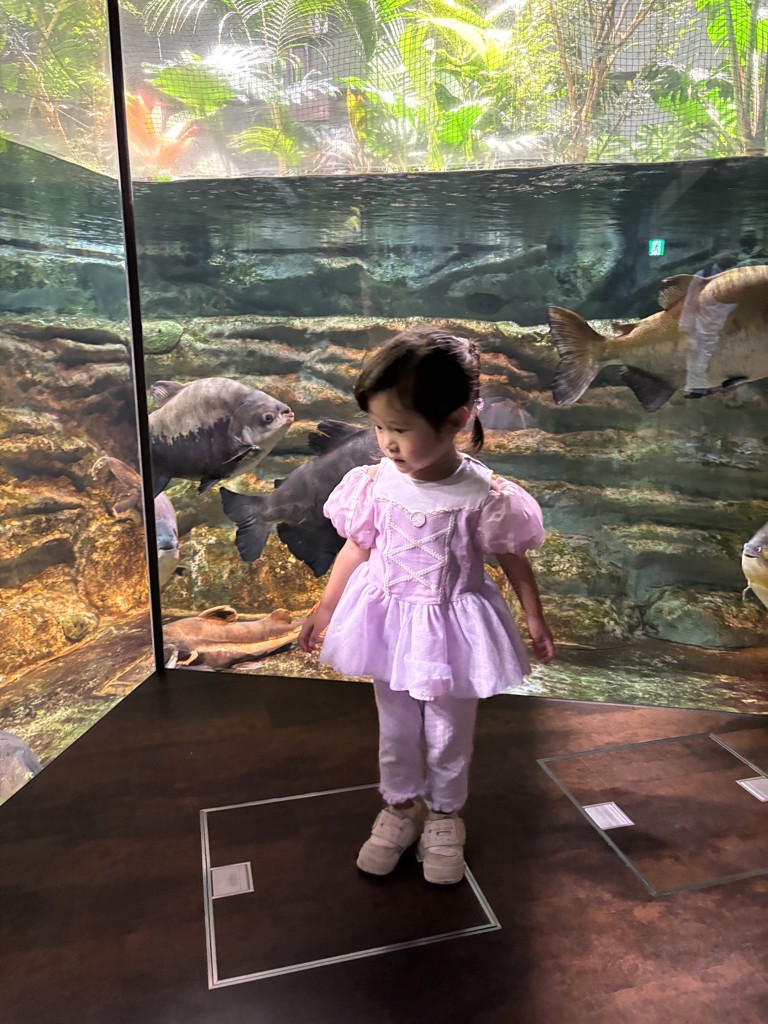 投稿写真
