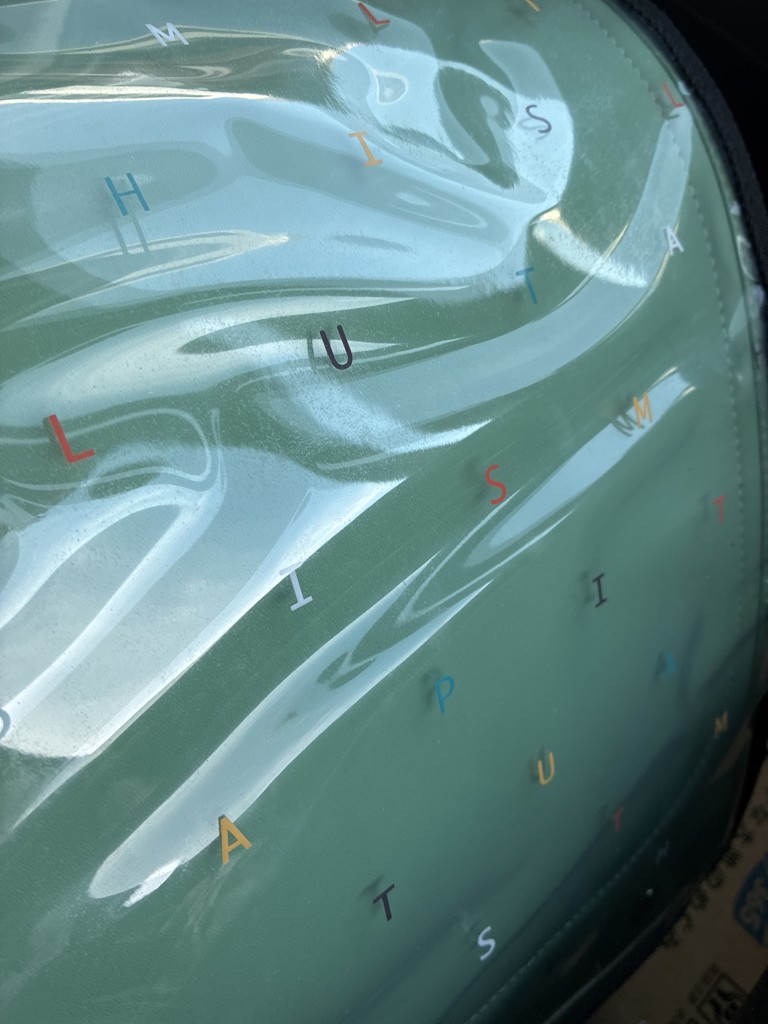投稿写真