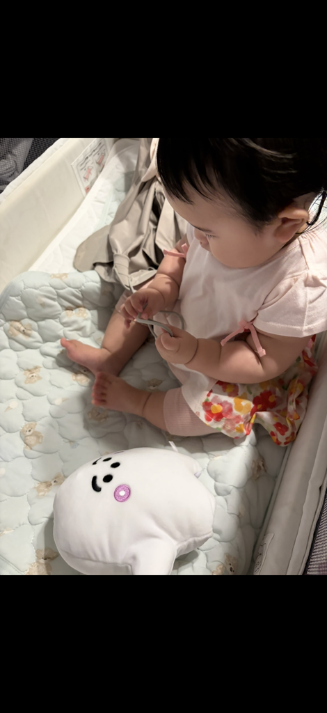 投稿写真