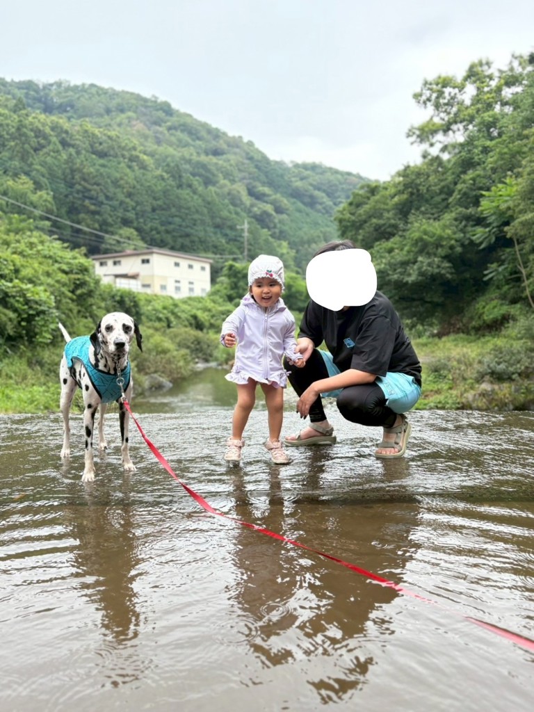 投稿写真