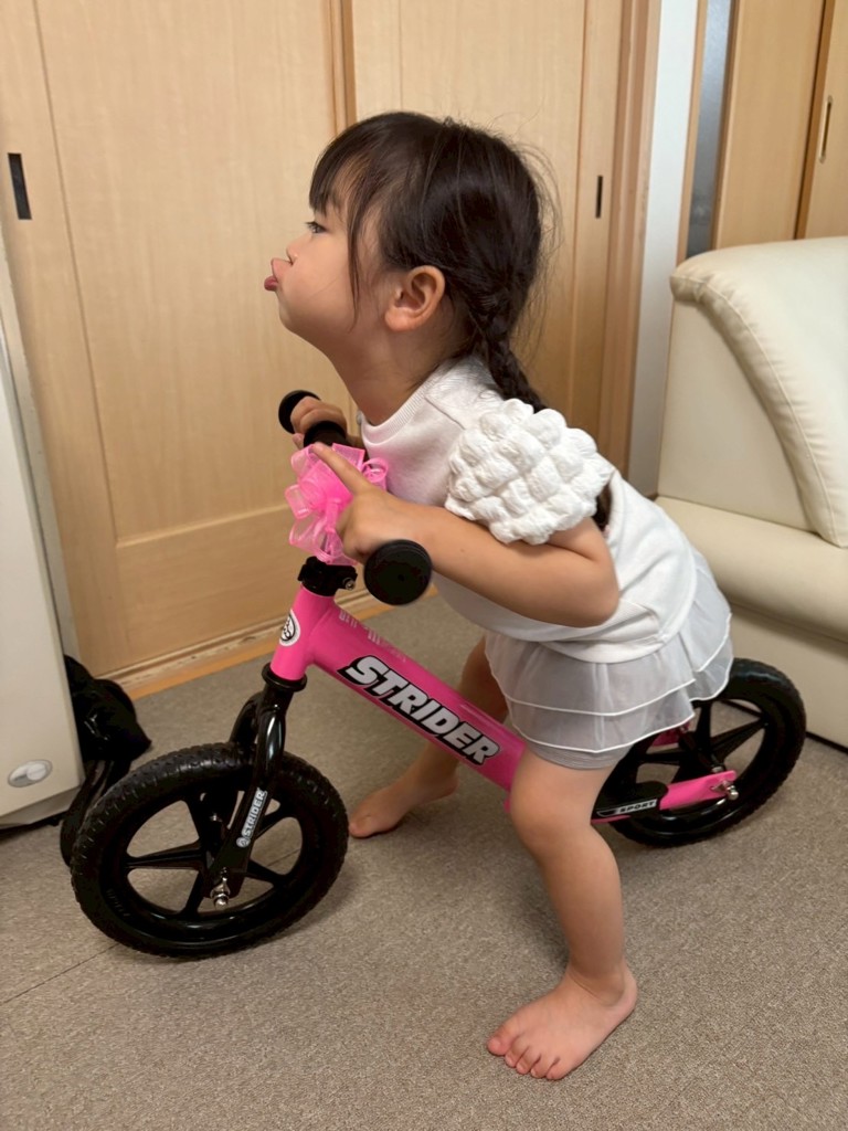 投稿写真