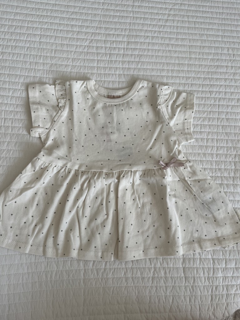 投稿写真