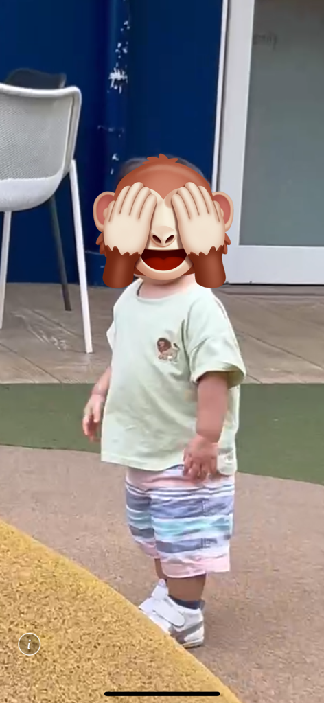 投稿写真