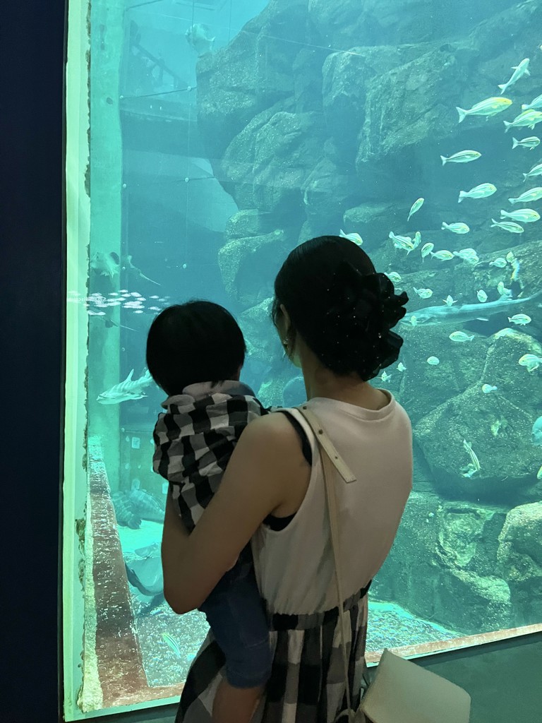 投稿写真