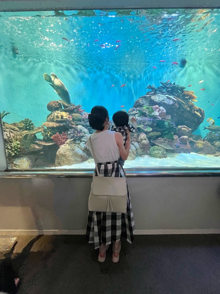 投稿写真