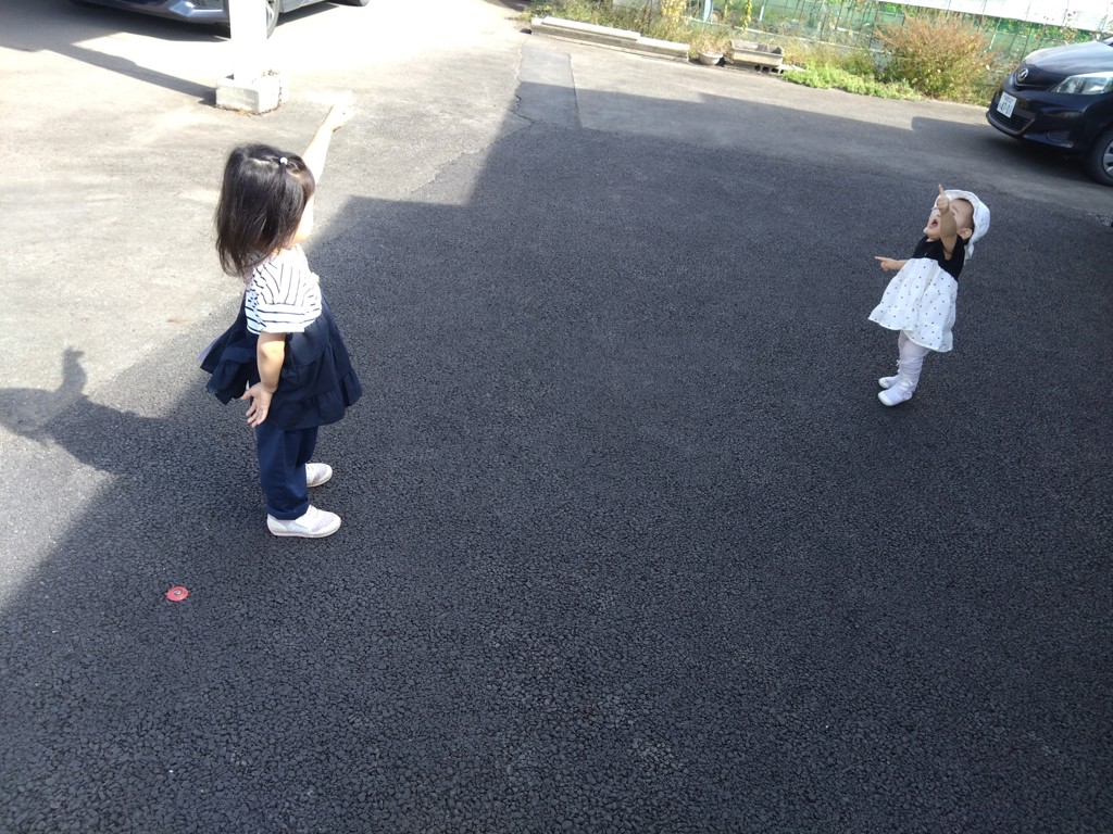 投稿写真