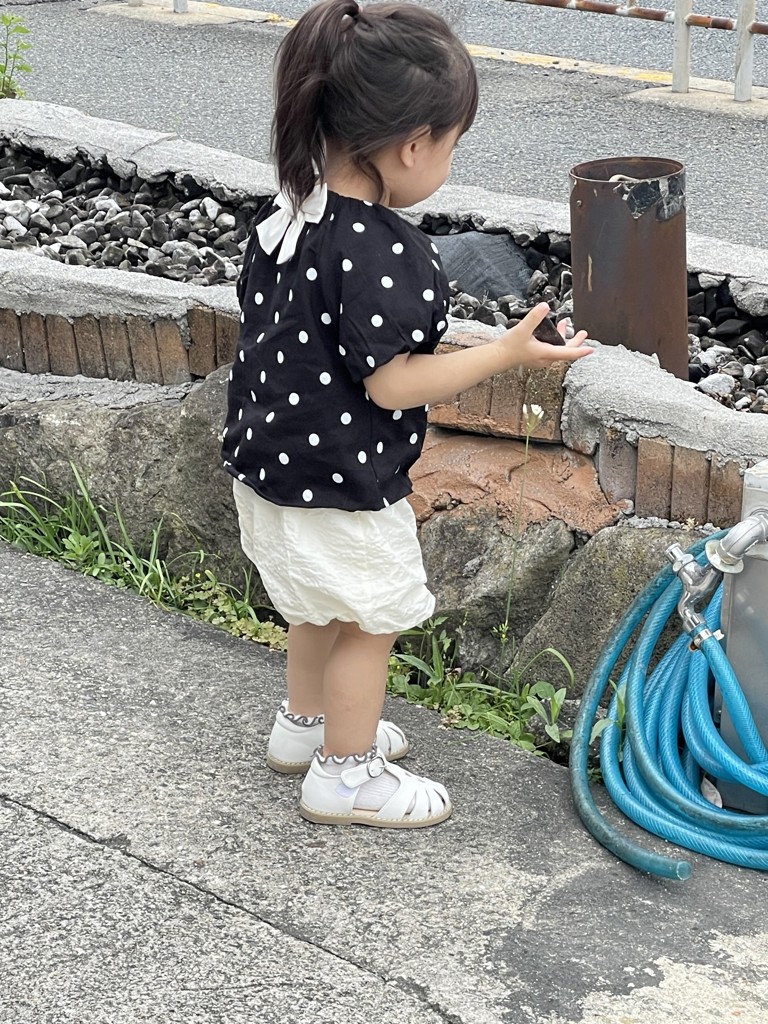 投稿写真