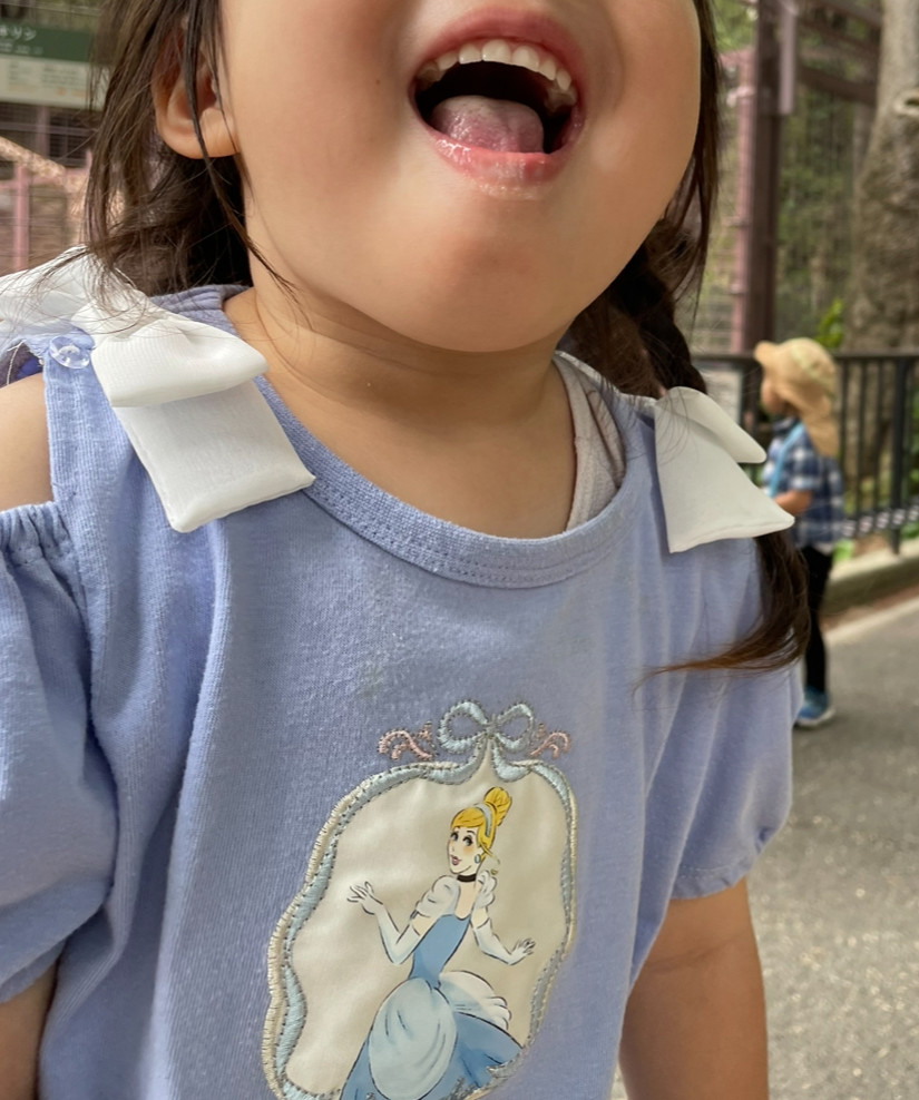 投稿写真
