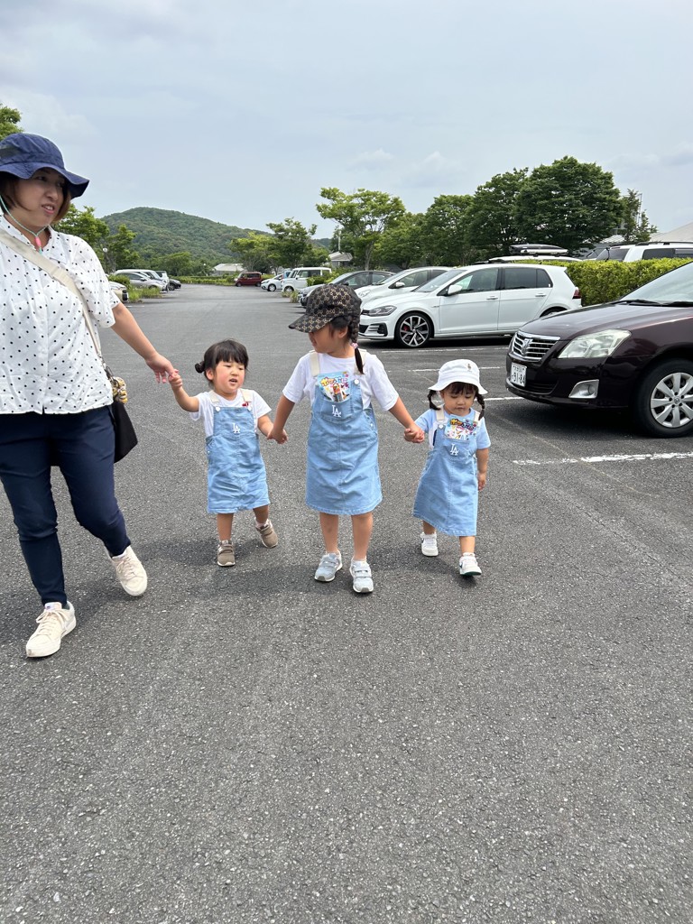 投稿写真