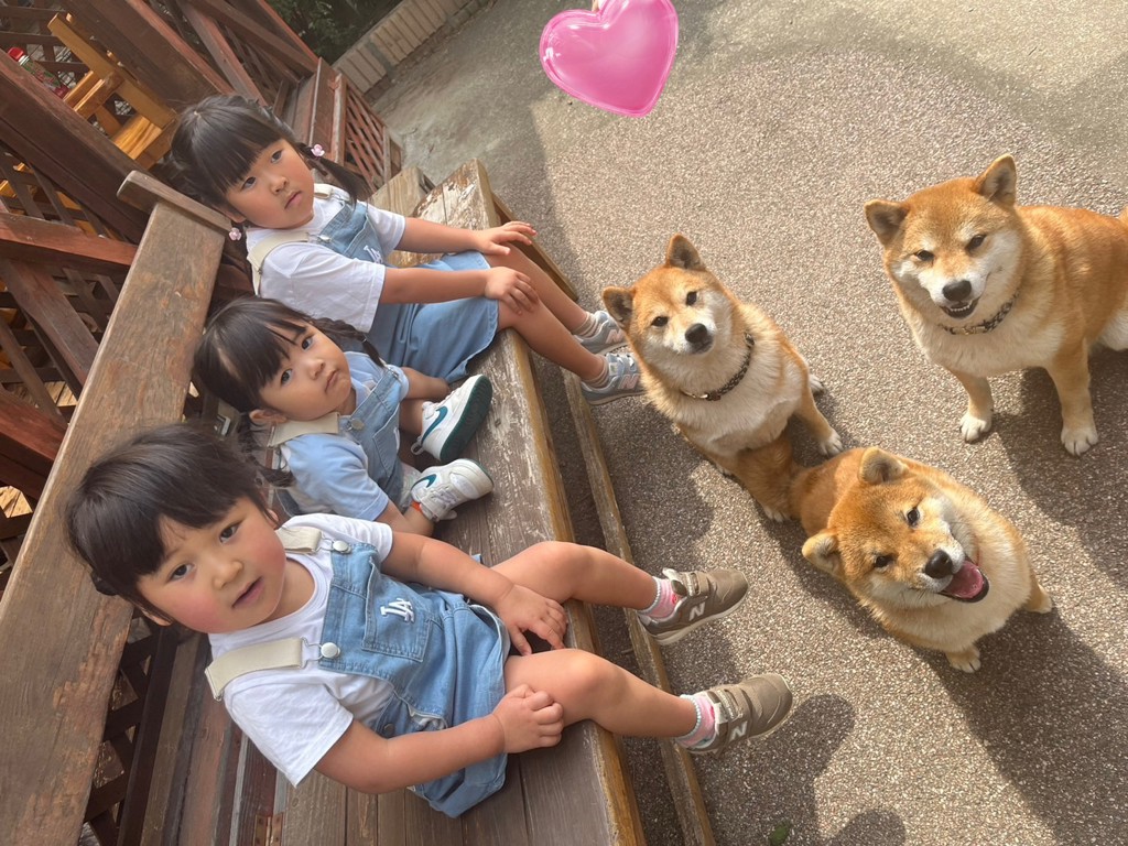 投稿写真