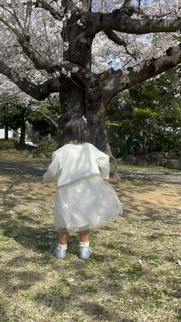 投稿写真