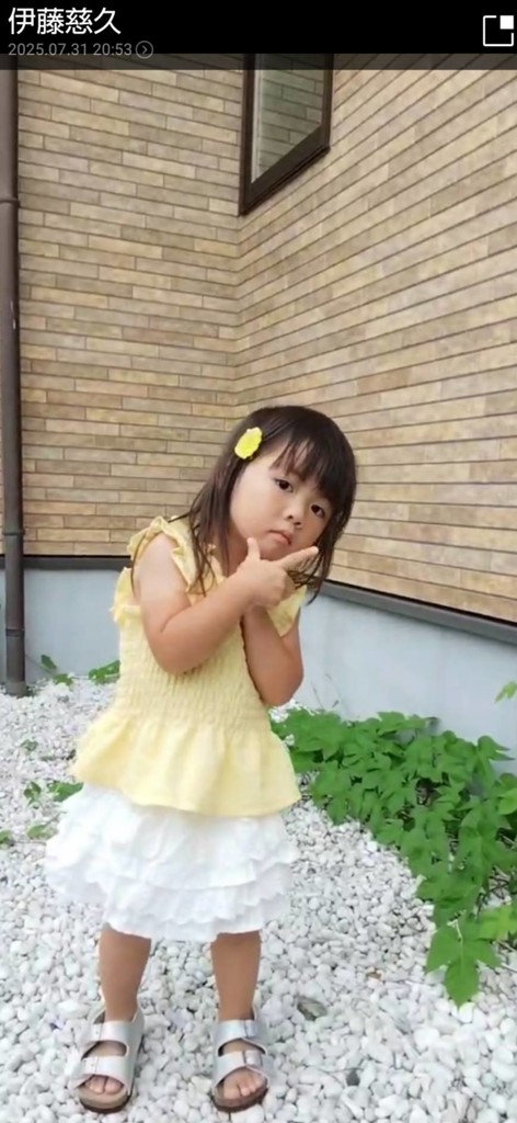 投稿写真
