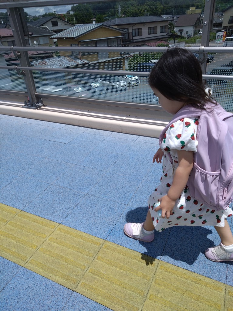投稿写真