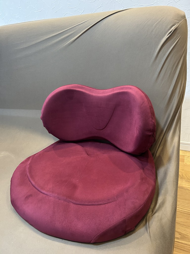 □サンプル□ハグカンフィプレミアム: その他エクスジェルシーティング