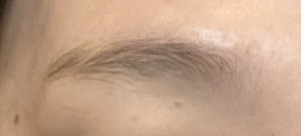 投稿写真