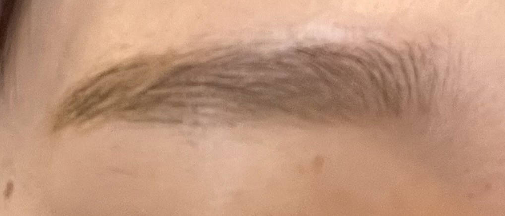 投稿写真