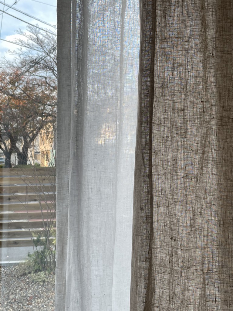 投稿写真