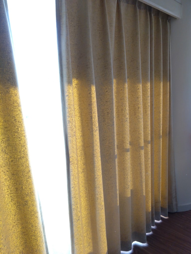 投稿写真