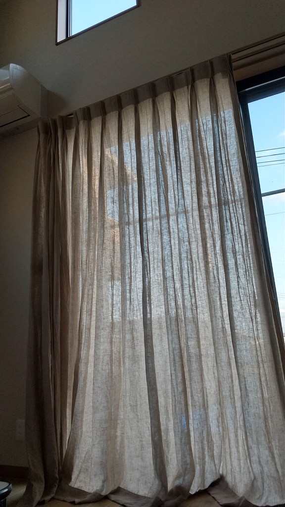 投稿写真