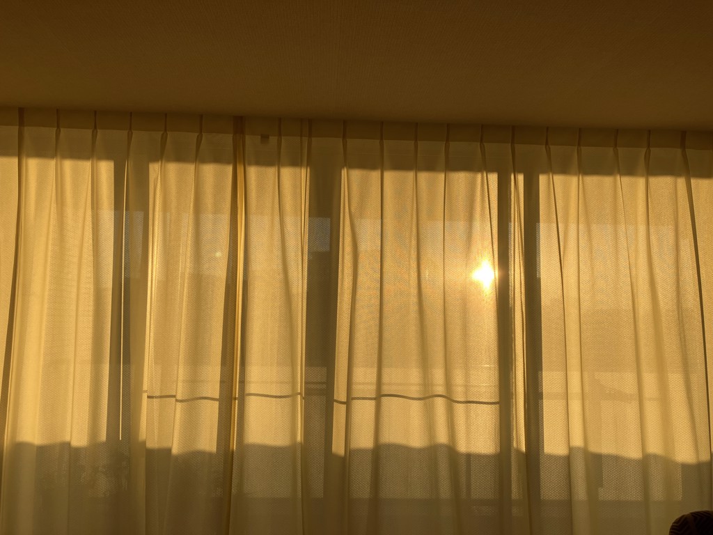 投稿写真