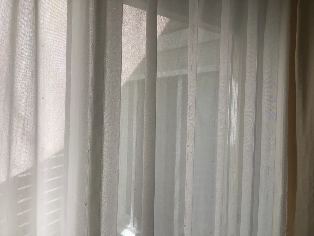 投稿写真