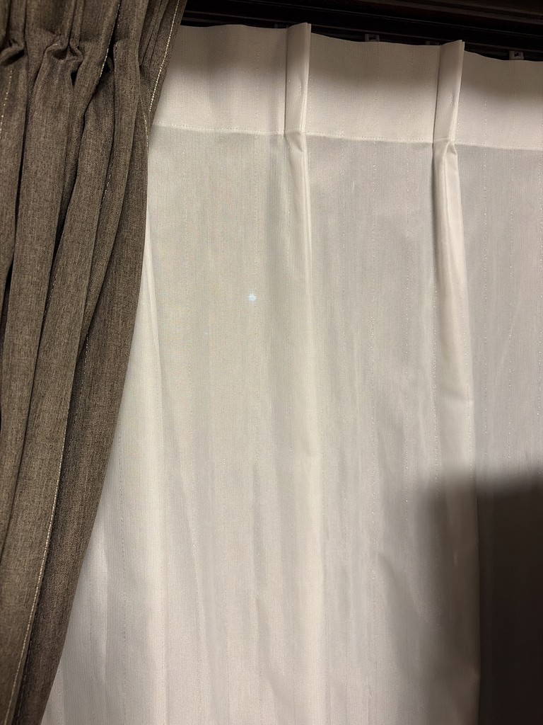 投稿写真