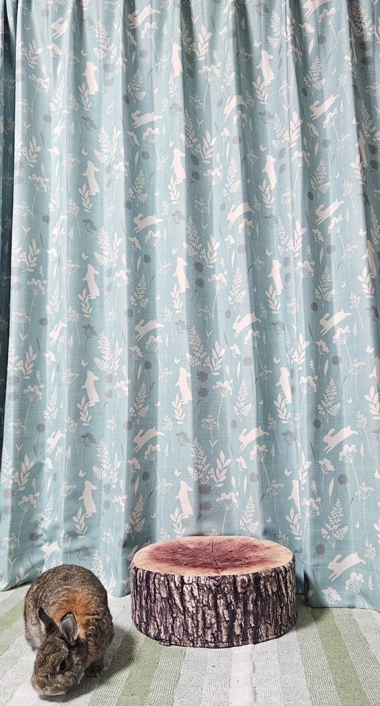 ユーザー写真