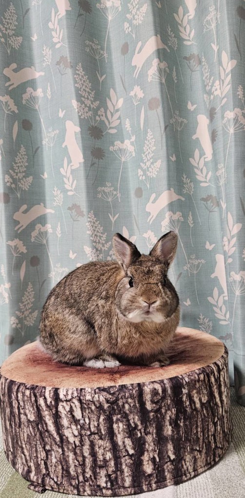 ユーザー写真