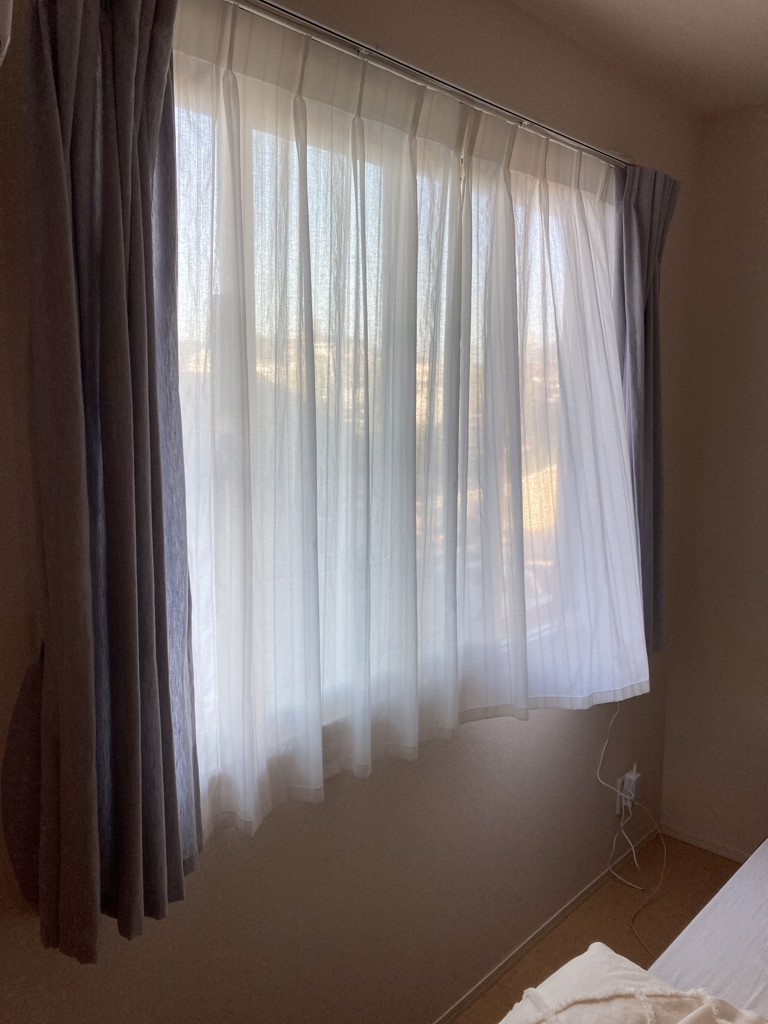 投稿写真