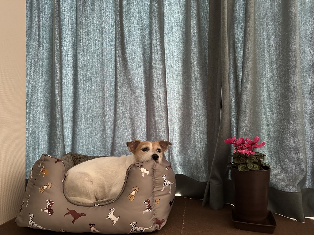 ユーザー写真
