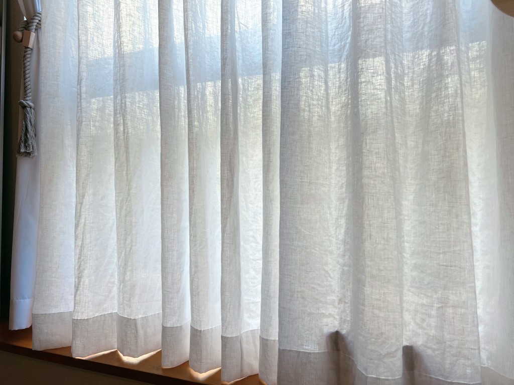投稿写真