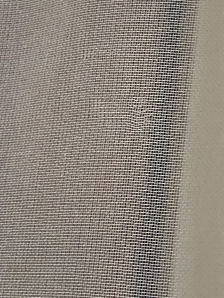 投稿写真