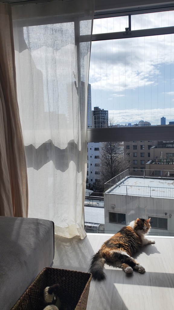 投稿写真