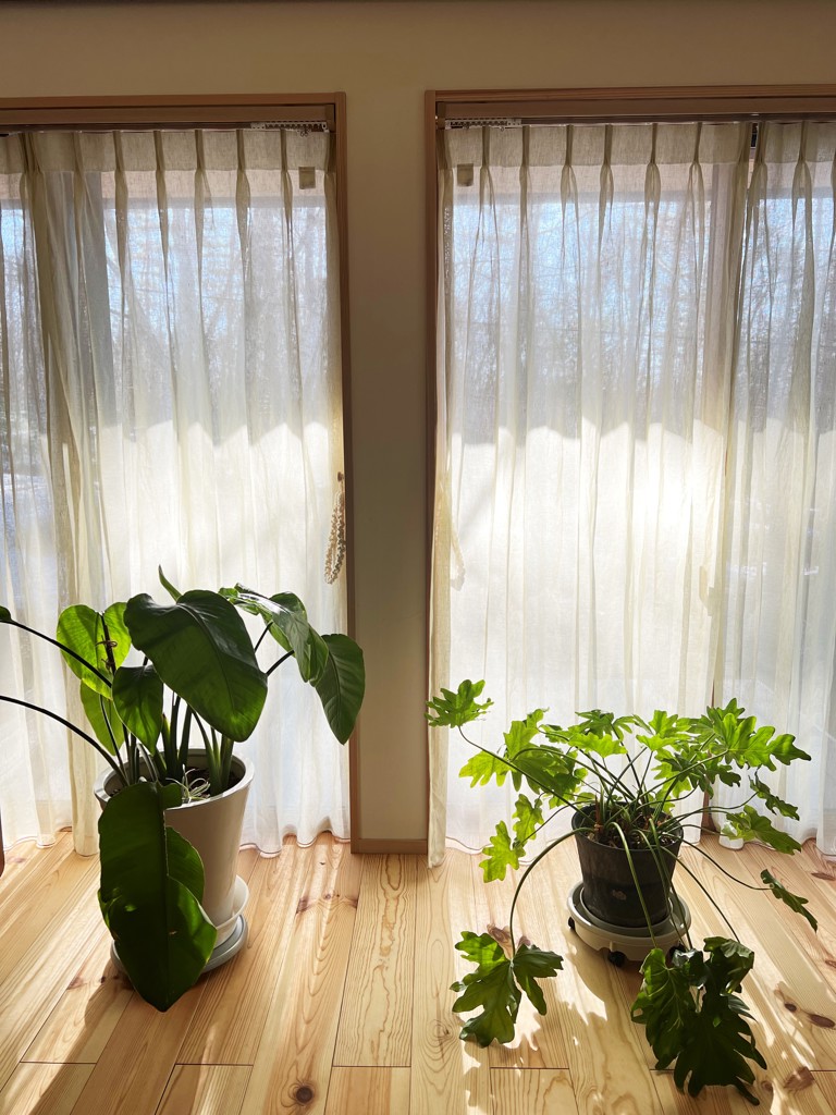 ユーザー写真
