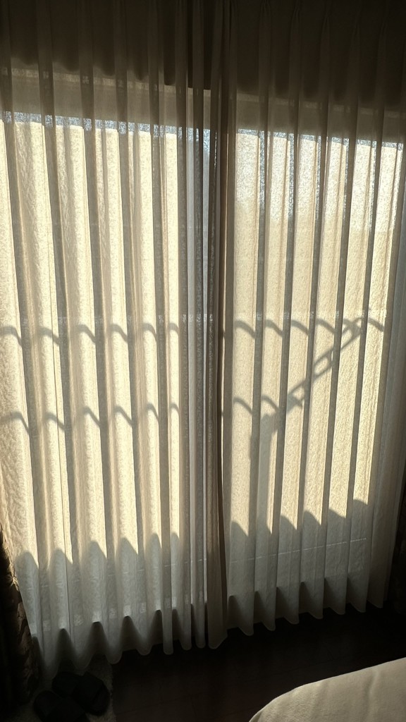 ユーザー写真