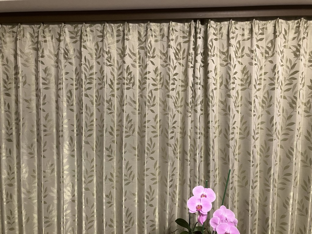 ユーザー写真