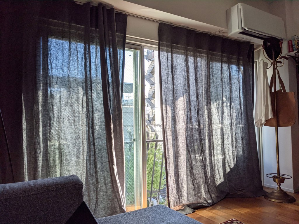 投稿写真