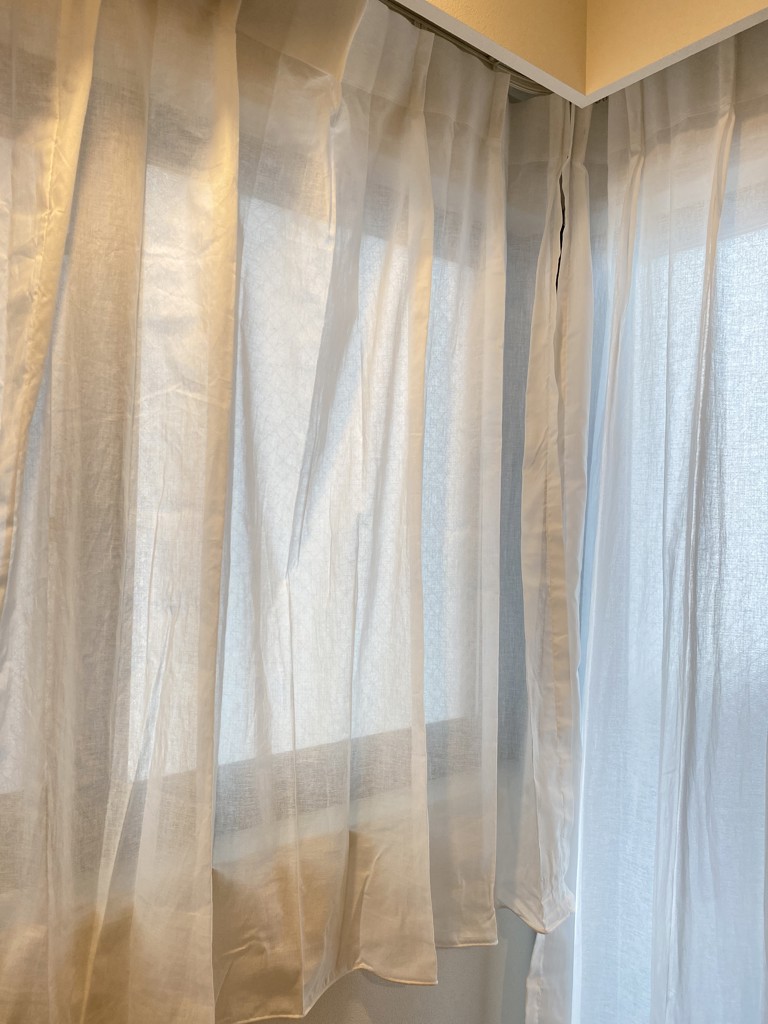 投稿写真