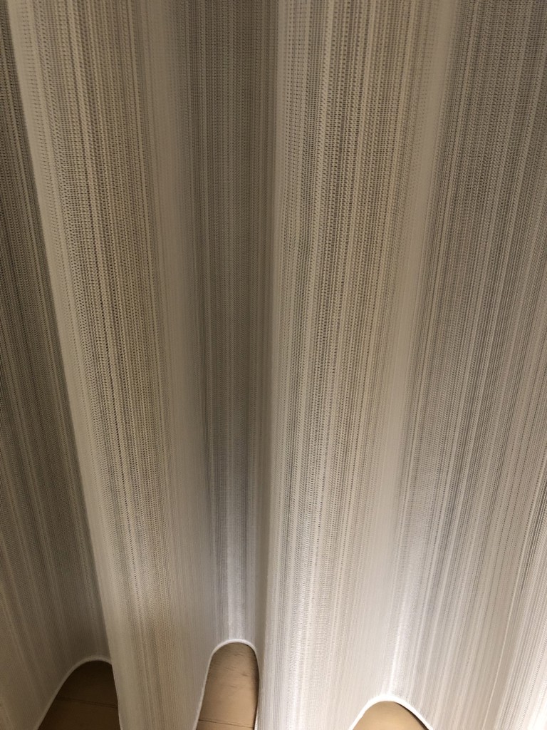 投稿写真