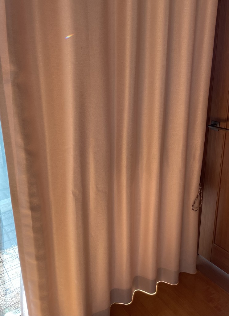 投稿写真