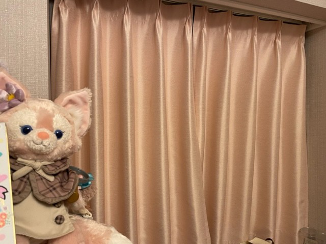 投稿写真